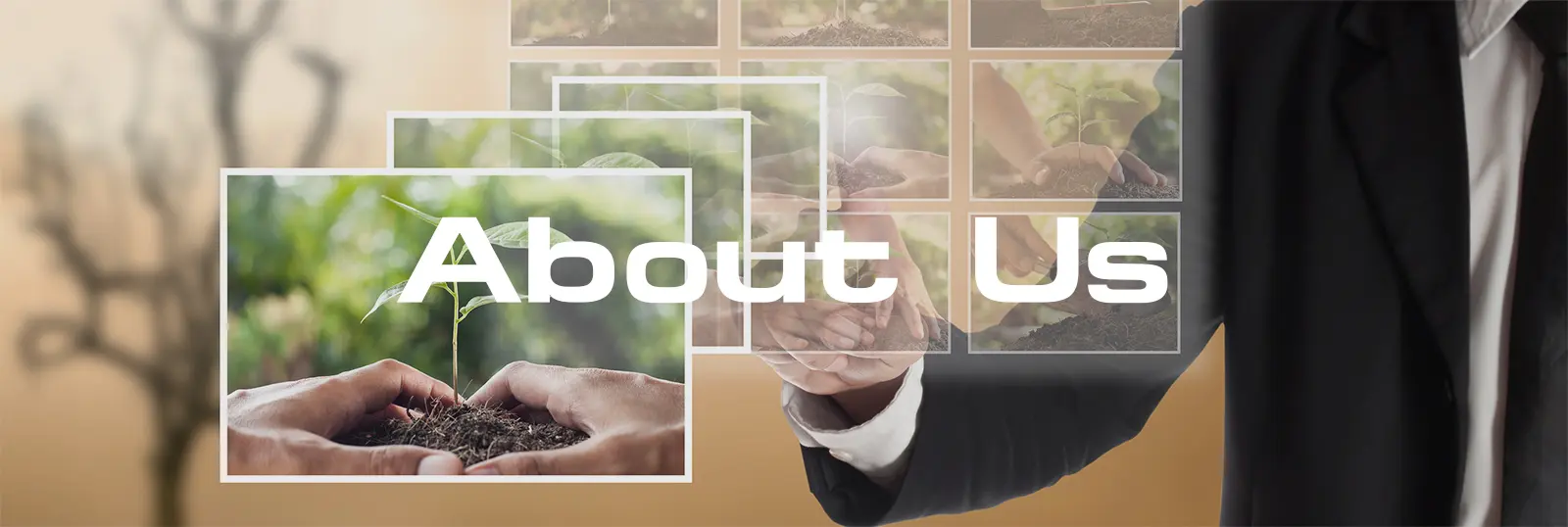 about us