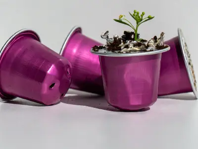 Coffee Capsules Recycling